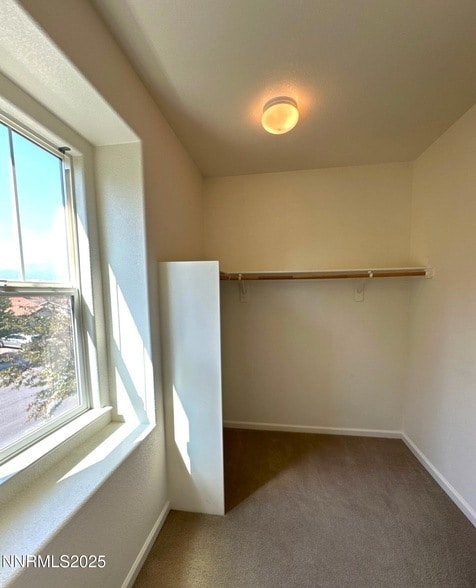 Building Photo - 545 Terracina Way