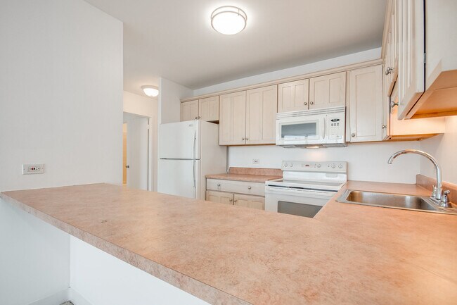 Building Photo - 1540 N La Salle Dr