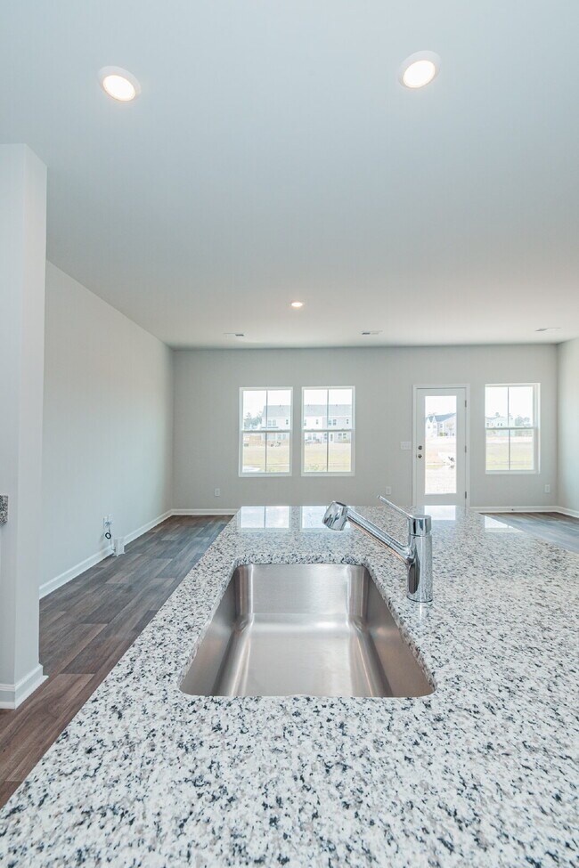 Building Photo - Brand-new 3 bedroom, 2.5 Bath Townhome with pond view
