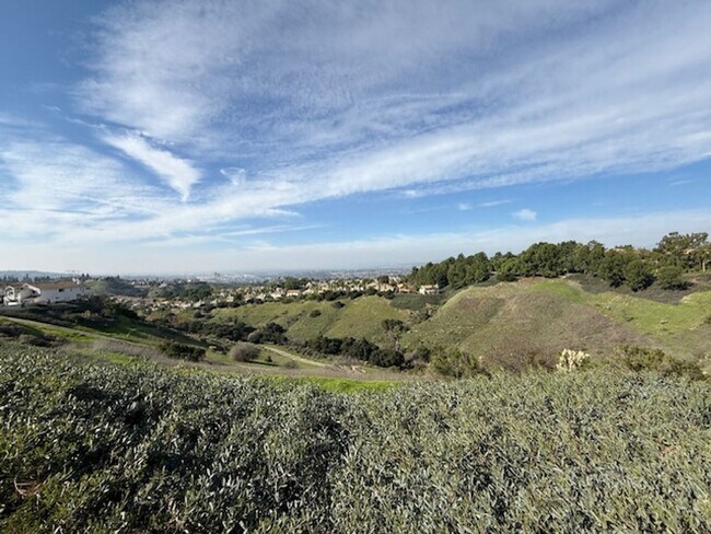 Building Photo - Spectacular view home in Anaheim Hills