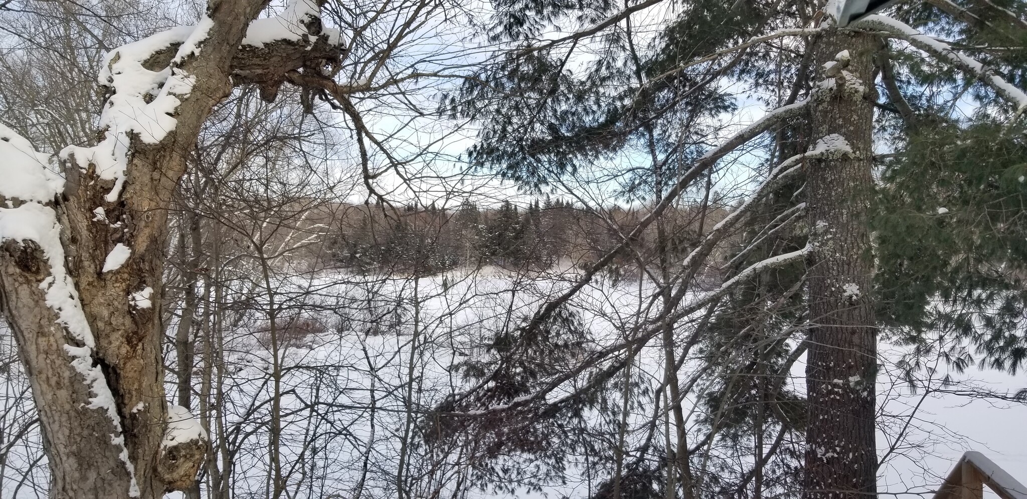 Building Photo - 1596 Schmidt Rd