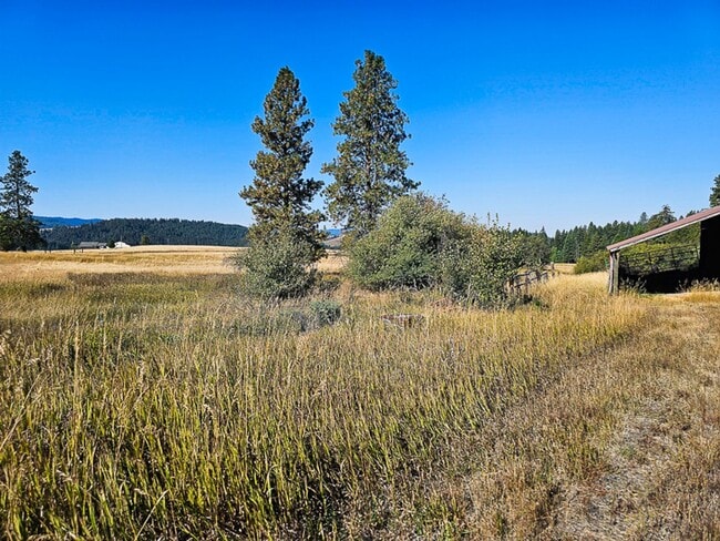 Building Photo - 2001 Manufactured Home on 160 Acre Farm ne...