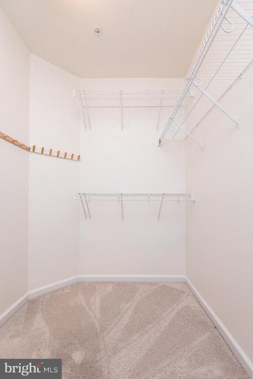 Building Photo - 1206 Maple Grove Ln