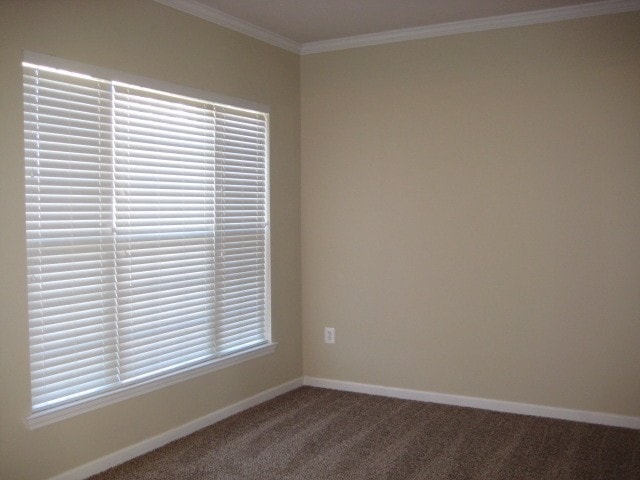 Building Photo - 1738 Bastante Ct