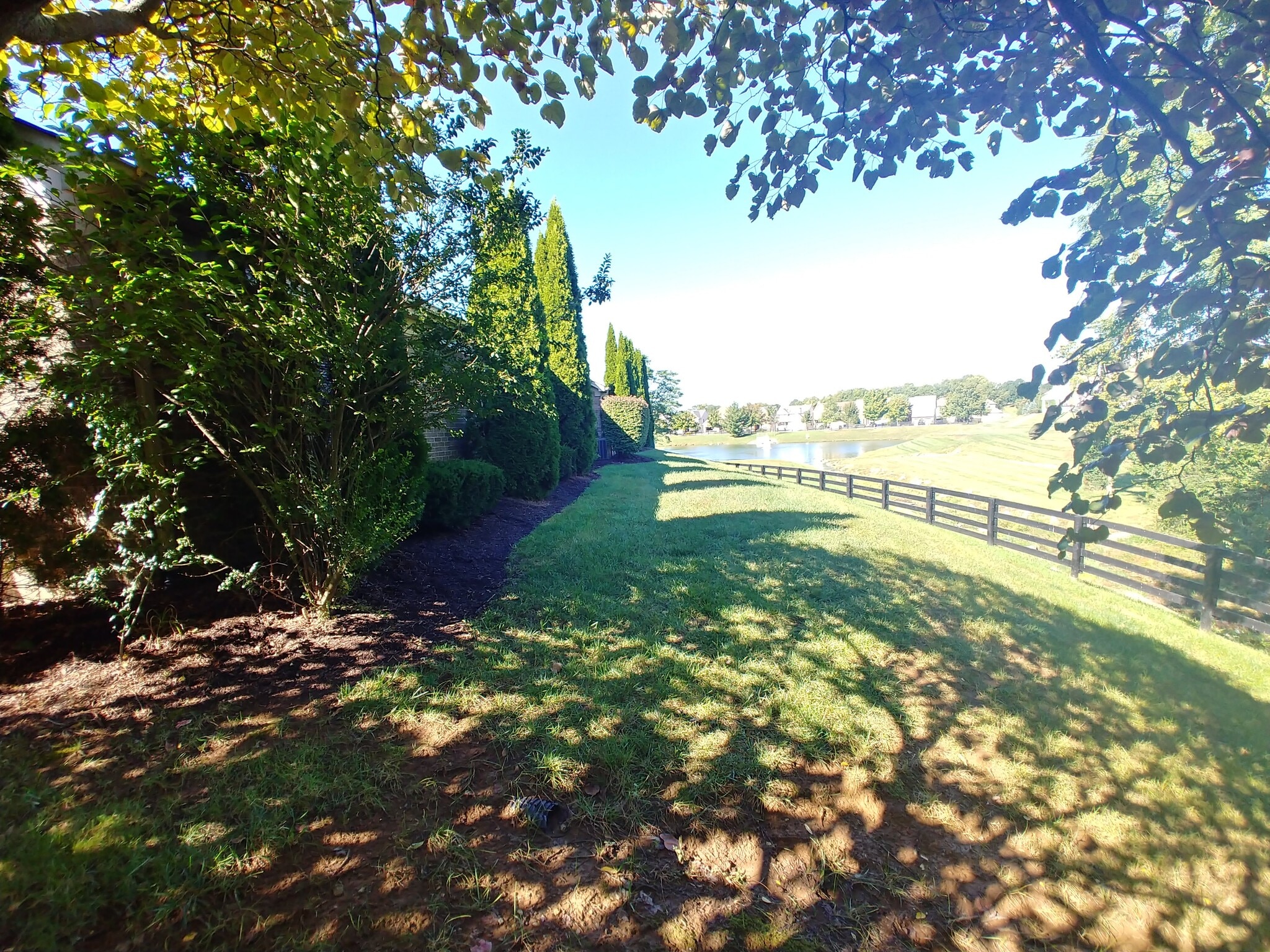 Side yard - 555 Goldon Trophy Trl