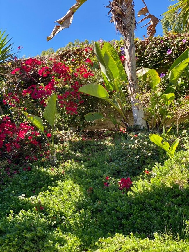 Building Photo - Spacious 4-Bedroom Home in Prime Aliso Viejo Location – Newly Updated