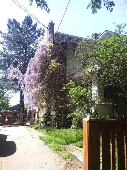 Cascading Wisteria - 1833 NE 52nd Ave