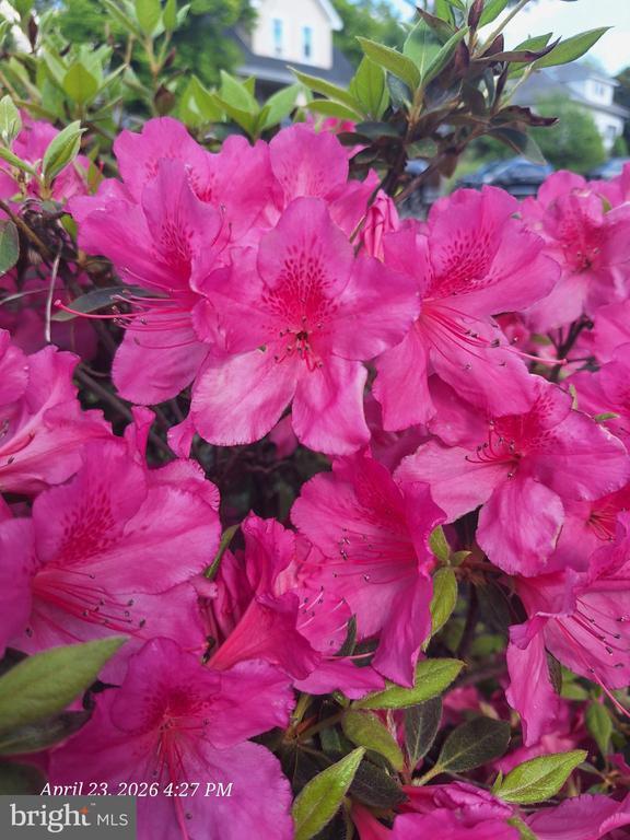 Building Photo - 3721 Frankford Ave