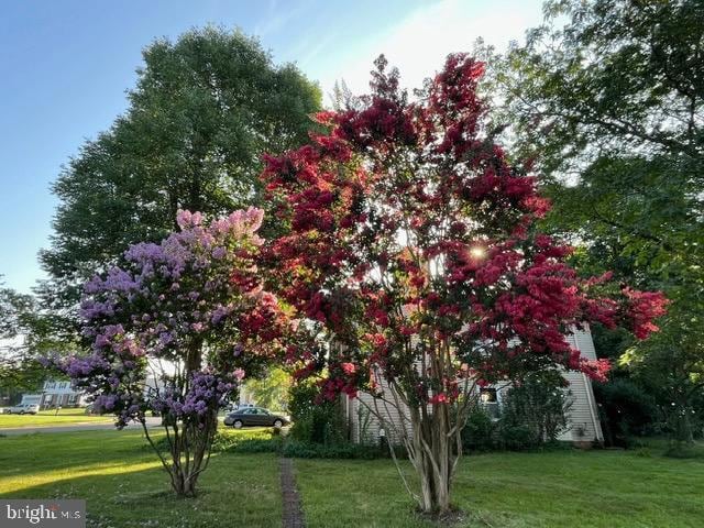 Building Photo - 12701 Pinecrest Rd