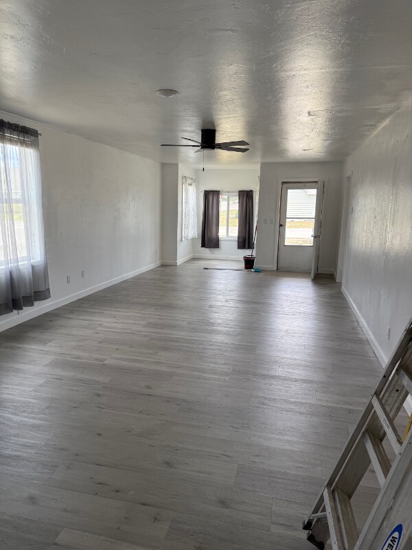 Building Photo - 501 Buck St