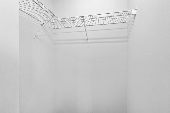 Building Photo - University Woods Retreat: 4 BR/4 Bath minutes to NCSU!