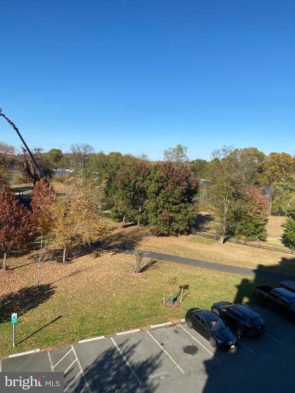 Building Photo - 820 Belmont Bay Dr