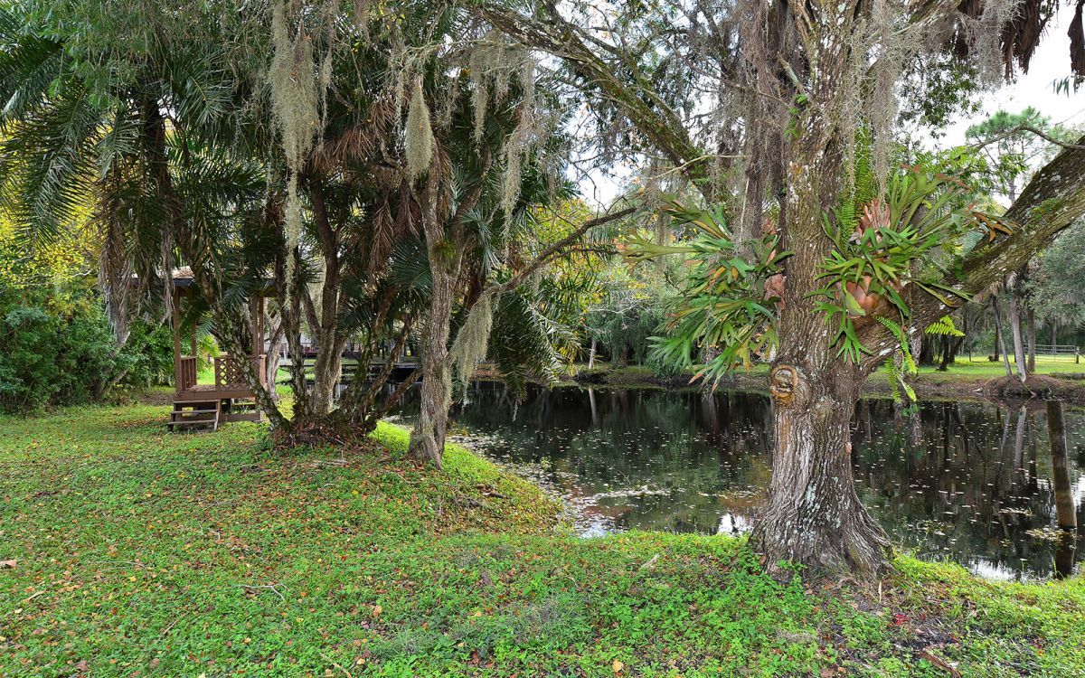 Building Photo - 8260 Ibis St