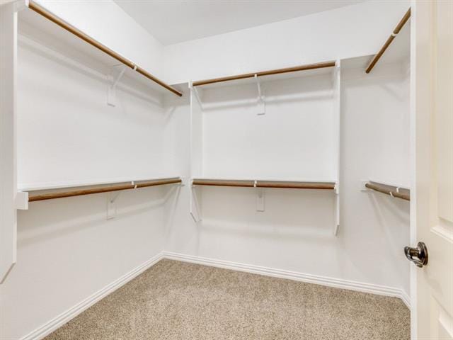 Building Photo - 2609 Plains View Dr