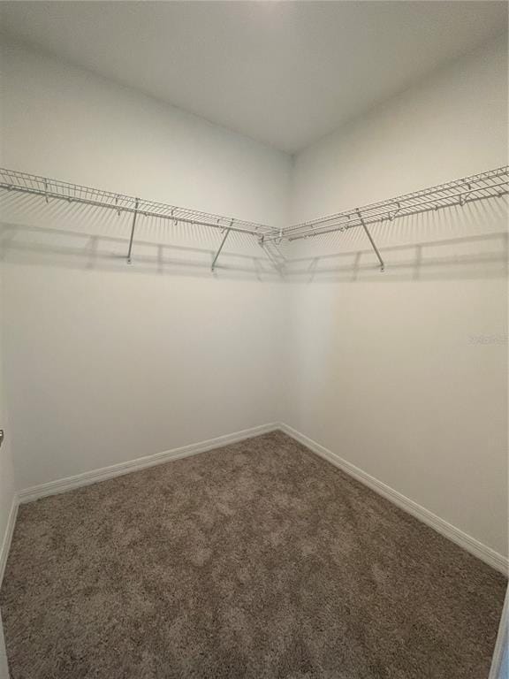 Building Photo - 2506 Stapleford Pl