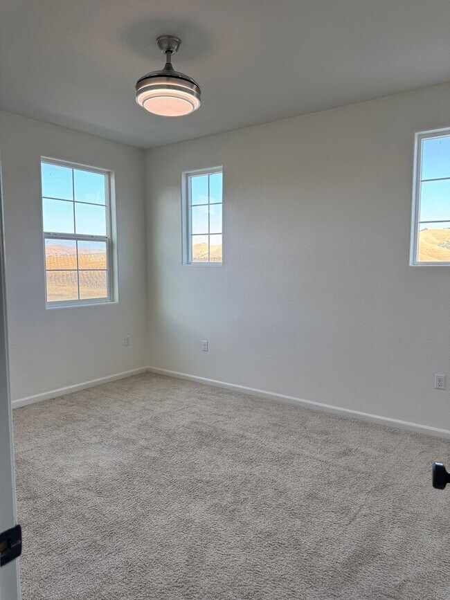 Building Photo - NOW AVAILABLE!! BEAUTIFUL HOME IN GATED COMMUNITY OF PATTERSON