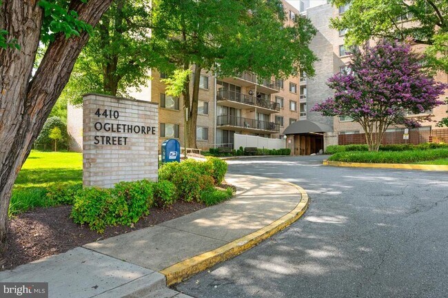 Building Photo - 4410 Oglethorpe St