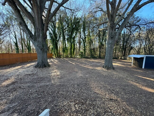 Building Photo - Available to Show