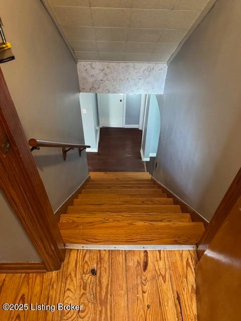 Building Photo - 2019 Lower Hunters Trace