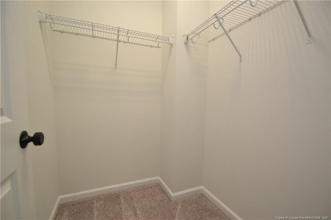Building Photo - 1405 Luxor Dr