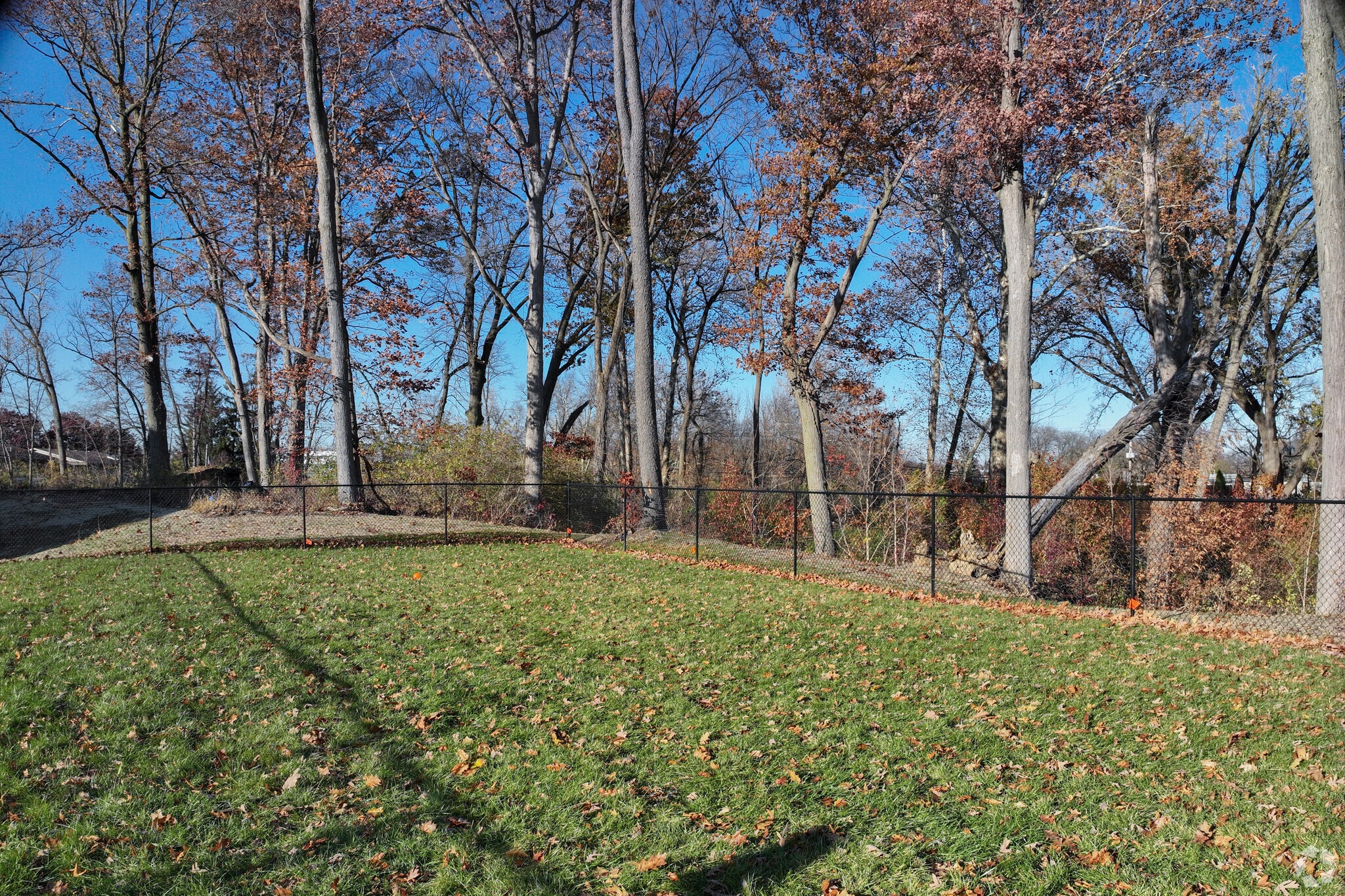 Dog Park - Flats at Walnut Ridge