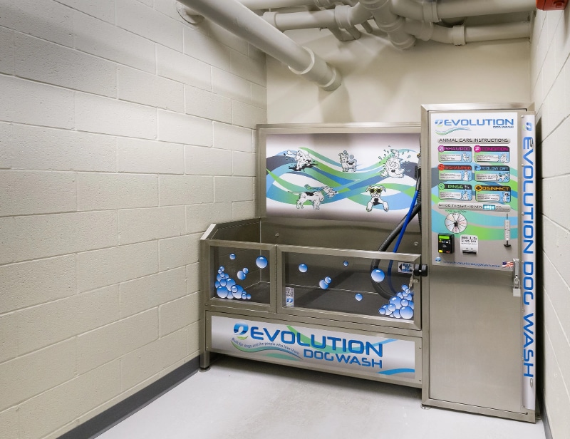 Building Photo - 146 N Ada St