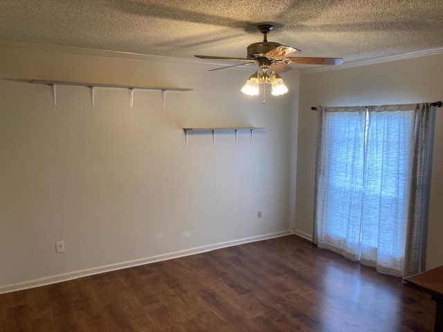 Living Room - 5326 Sleepy Hollow Dr