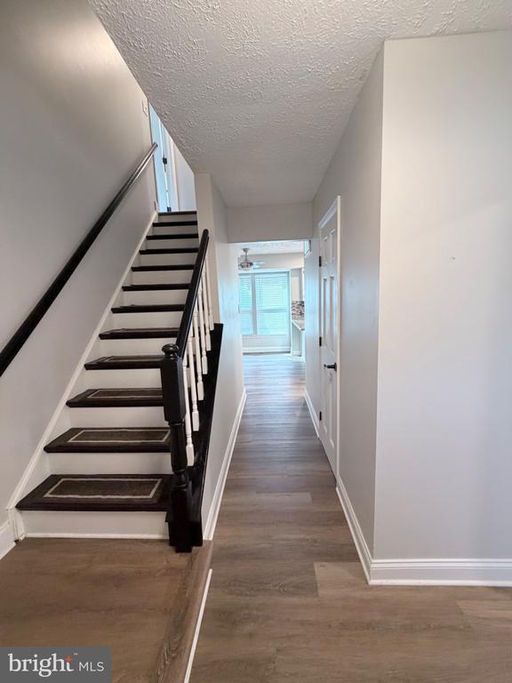 Building Photo - 917 Cypress Point Cir