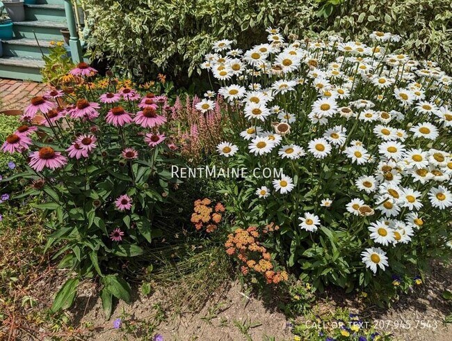 Building Photo - 54 Penobscot St