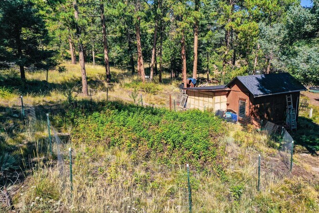 Building Photo - Backcountry Living