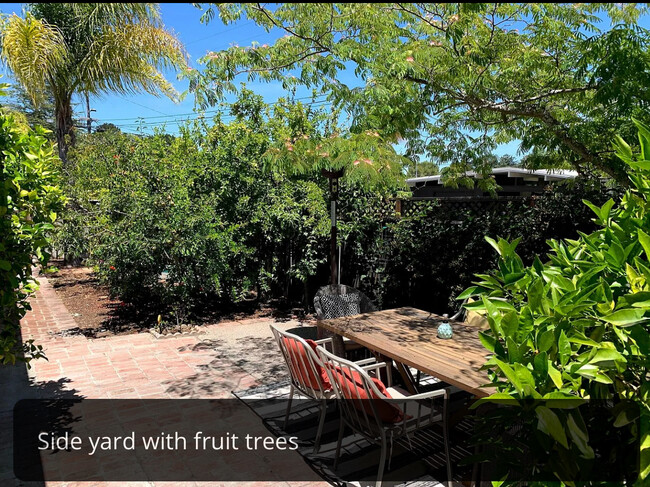 side yard with fruit trees - 20 Arcangel Way