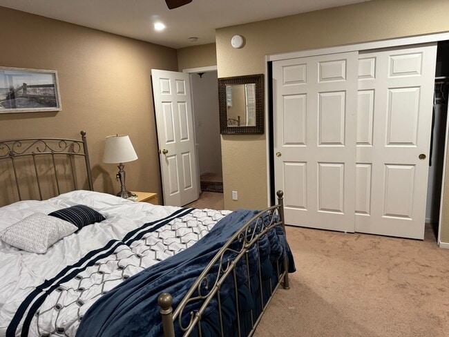 Building Photo - 295 Pimlico Dr