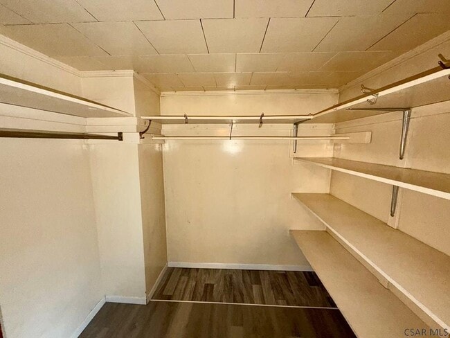 Building Photo - 703 Saybrook Pl