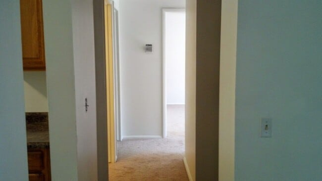 Building Photo - Three bedroom, one bath, huge backyard