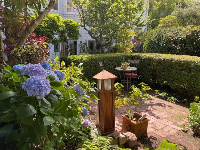 Building Photo - 2937 Scott St