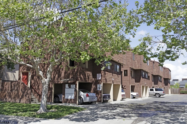 Primary Photo - Sycamore Square