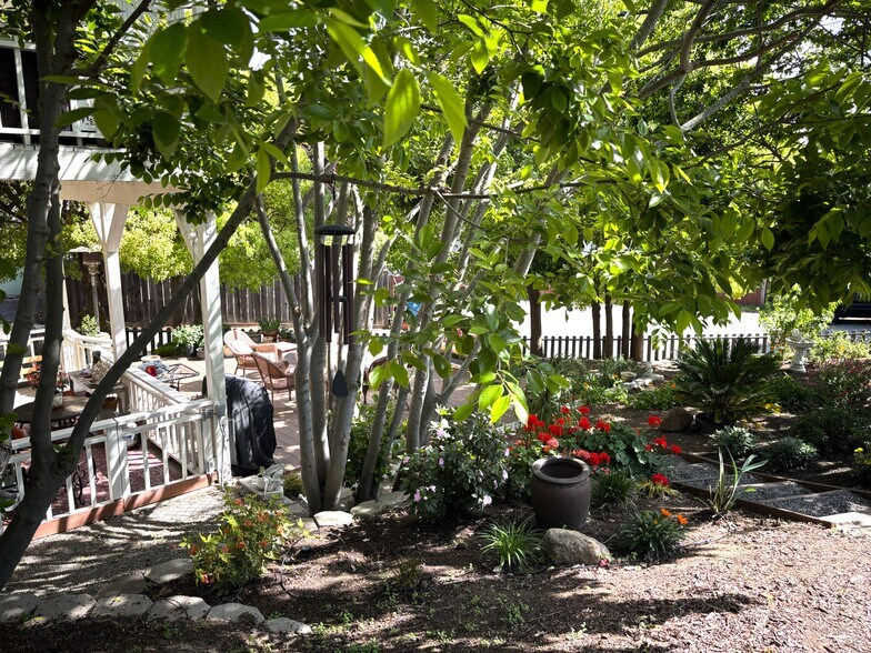 Front Yard - 1340 Hospital Rd