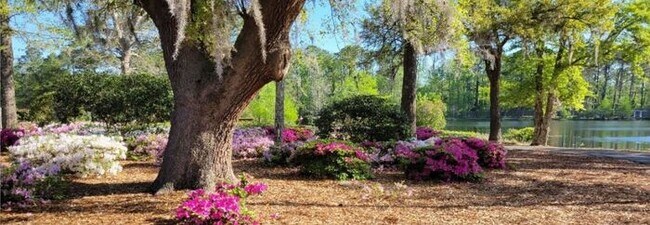 Building Photo - Coming soon Leland “Waterford of the Carolina’s”  Brick one level, 2 car garage, fenced yard, hig...
