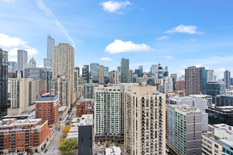 Building Photo - 775 N Dearborn St