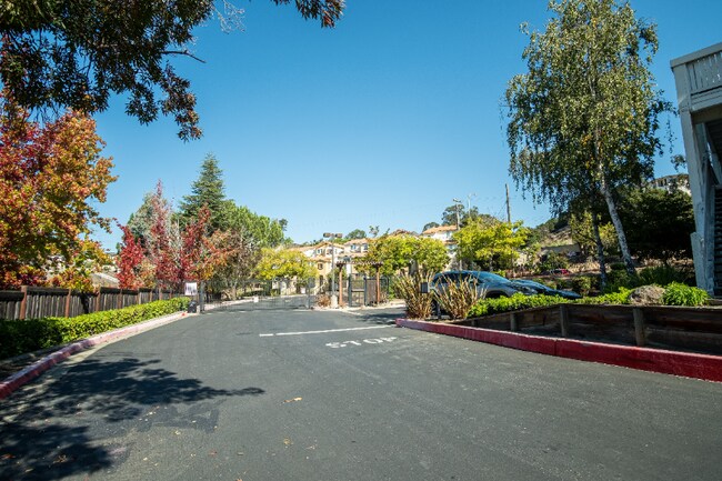 Building Photo - 2491 Creekside Ct