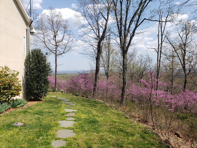 Walkway to Entrance - 793 Clifton Trl