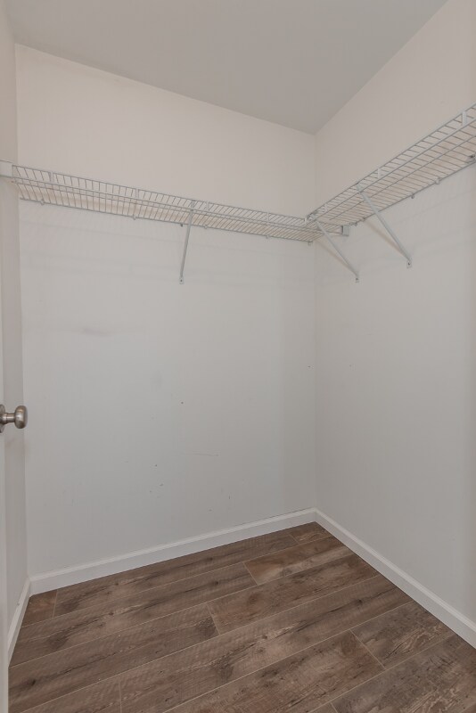 Building Photo - 424 Country Stone Dr