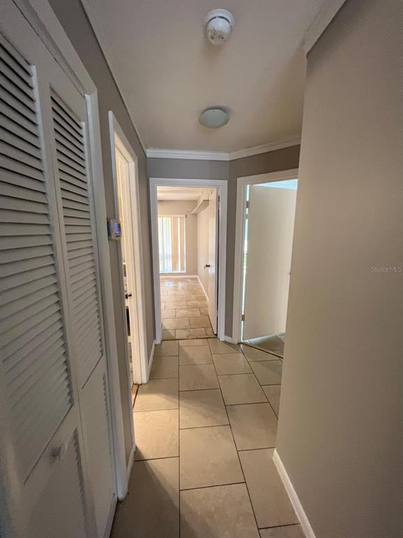 Building Photo - 2634 Lemon Tree Ln