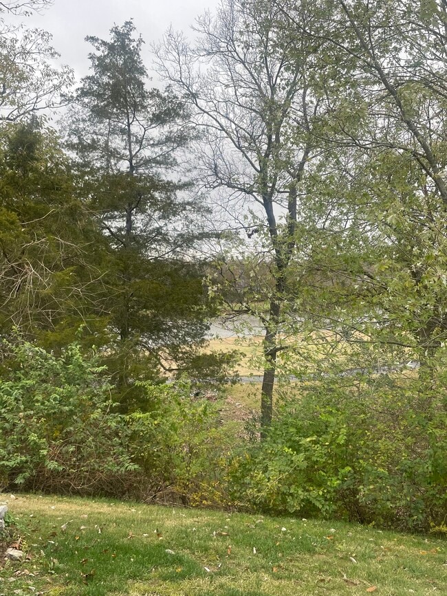 Building Photo - 438 Flintlock Ct