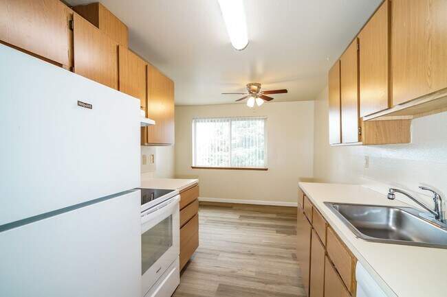 Building Photo - Welcome to Magenta Apartments – Where Quiet Comfort Meets Convenience