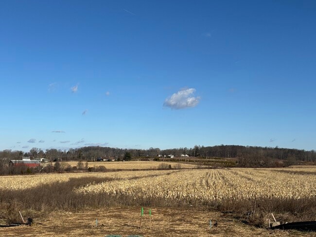 Building Photo - 4893 W Swamp Rd