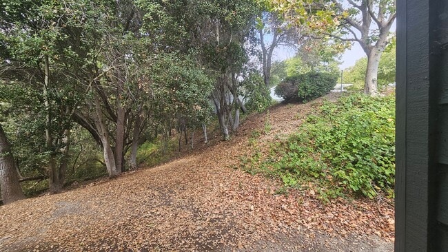 Building Photo - GORGEOUS AND SERENE Private 2BD/2BA Pleasa...