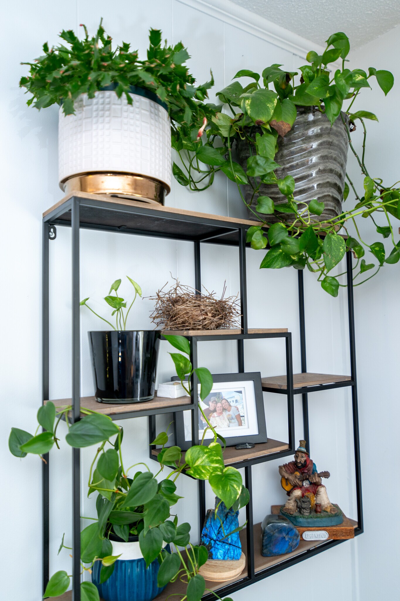 Building Photo - 1101 Kitt Pl