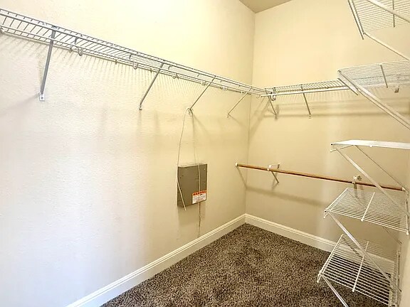 Building Photo - 3526 Blackstone Run