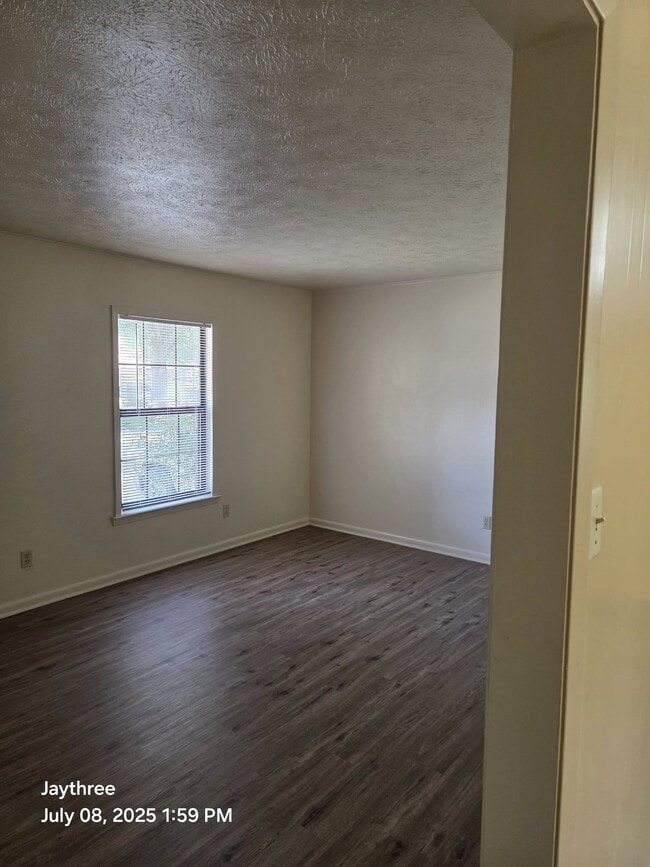 living room - 226 Forrest Ln